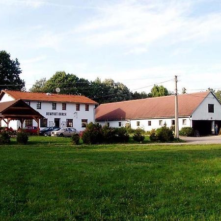 Отель Staj Newport Dolni Domaslavice Экстерьер фото